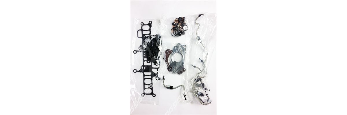 GASKET SET Head (no head gasket  /  rocker cover gasket  /  stem seals)