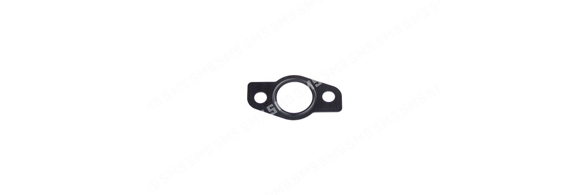 GASKET EGR Valve