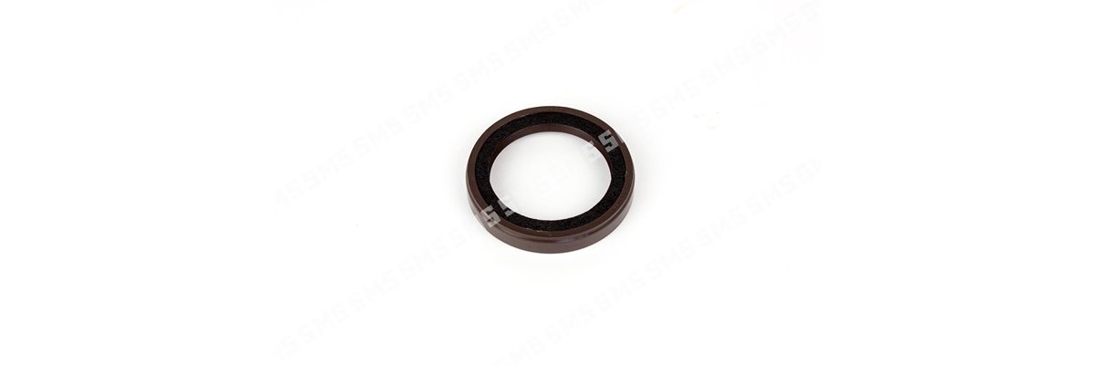 OIL SEAL Timing Case