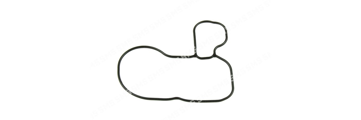 O RING Timing Case to Head