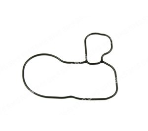 O RING Timing Case to Head