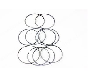 RING PACK Std