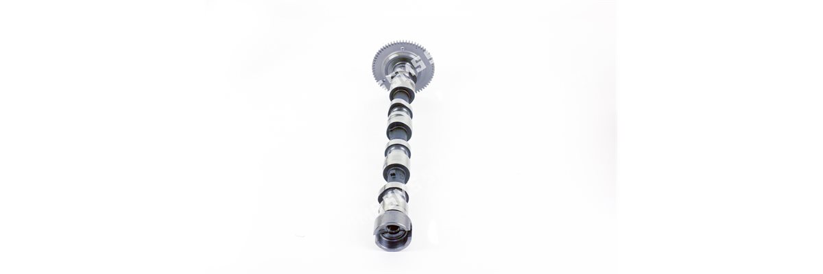 CAMSHAFT Exhaust