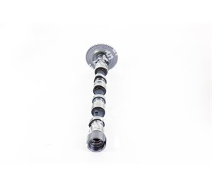 CAMSHAFT Exhaust