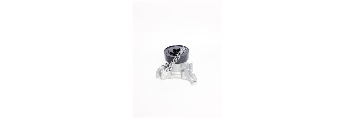 WATER PUMP (Less Thermostat housing)
