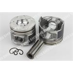 PISTON + PIN (Common Rail 46.20mm  Bowl dia) Std