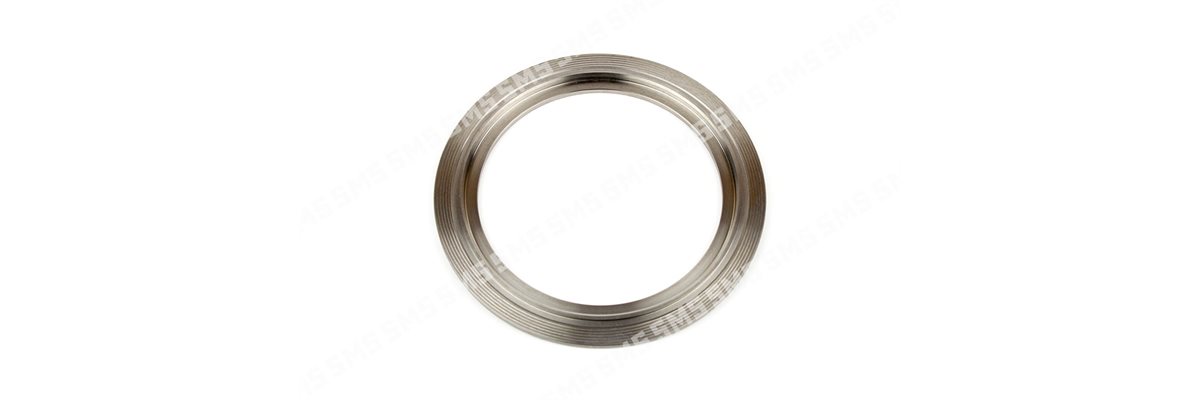 SLINGER Oil Seal Rear Main