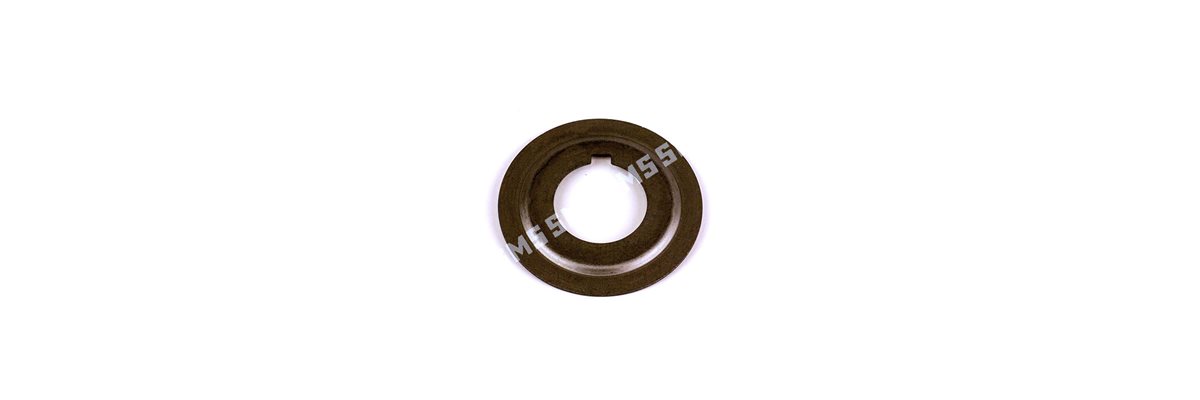 SLINGER Oil Seal Front