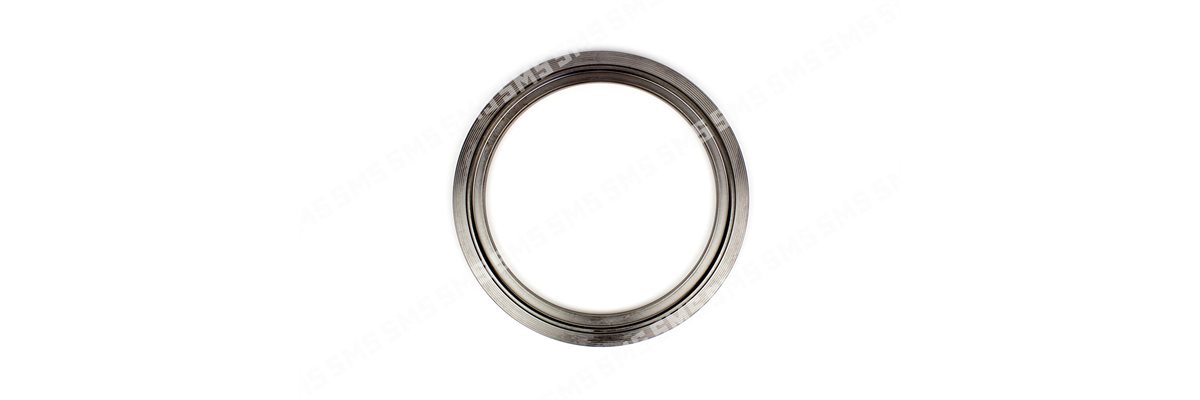 SLINGER Oil Seal Front
