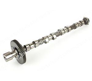 CAMSHAFT Inlet (100kw)