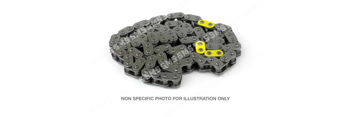 TIMING CHAIN