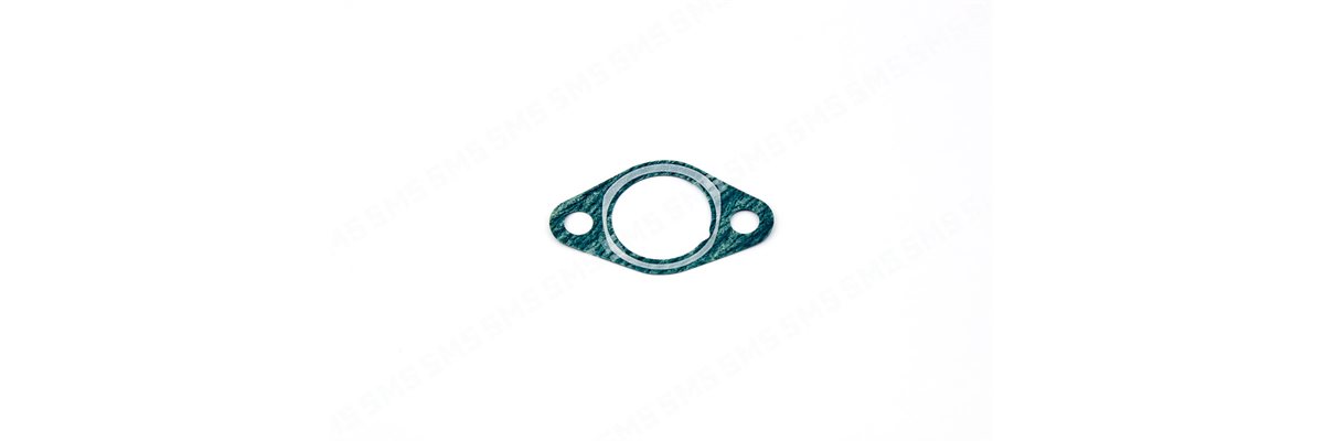 GASKET Timing Chain Tensioner Mount