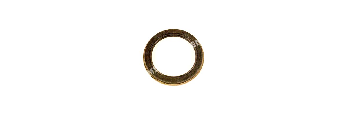 OIL SEAL Rear Main