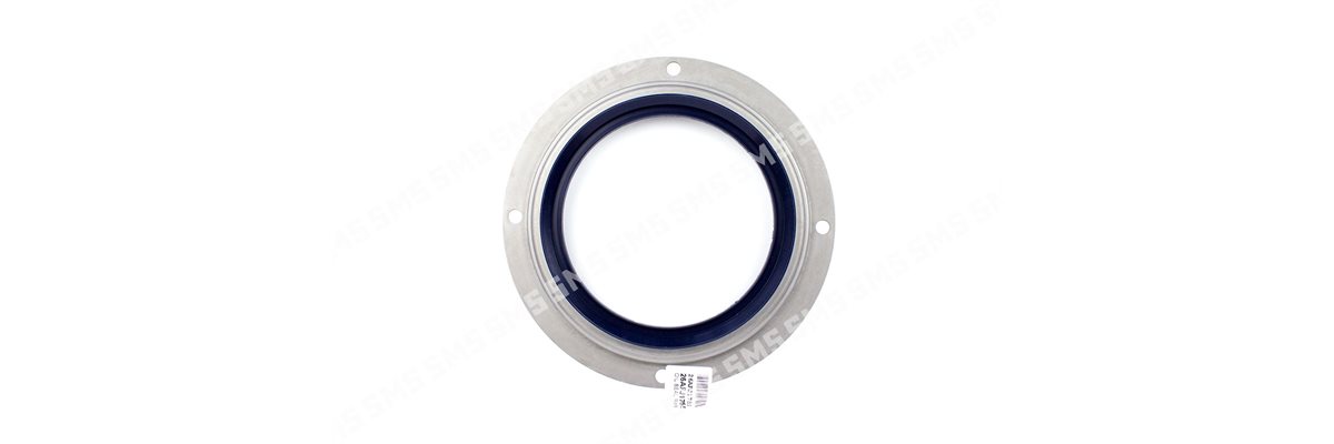 OIL SEAL Rear Main (bolt on type)