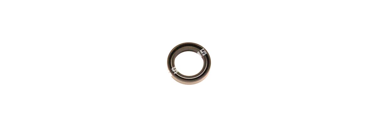 OIL SEAL Timing Case