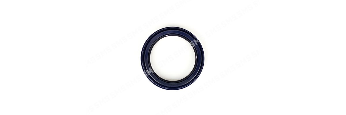 OIL SEAL Timing Case 76x100x14