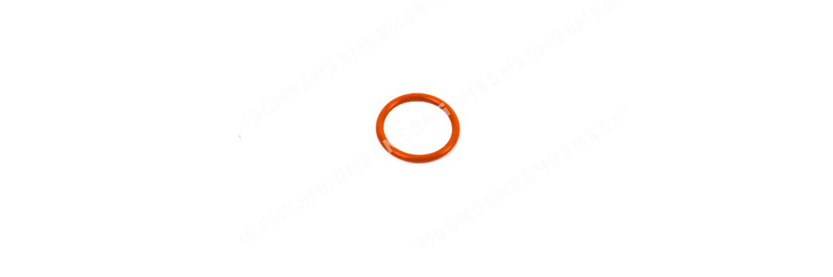 O RING Oil Filter Housing to Bracket