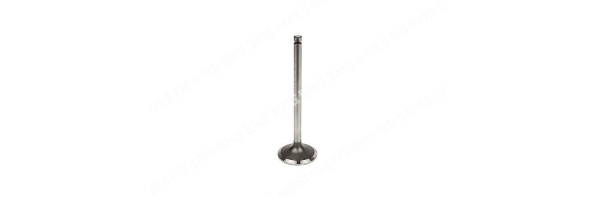 VALVE Inlet (60 degree)