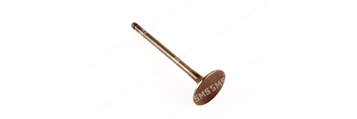 VALVE Inlet (46mm head)