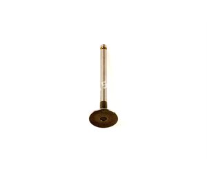 VALVE Inlet