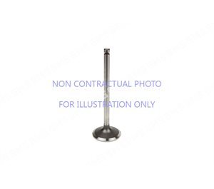 VALVE Inlet