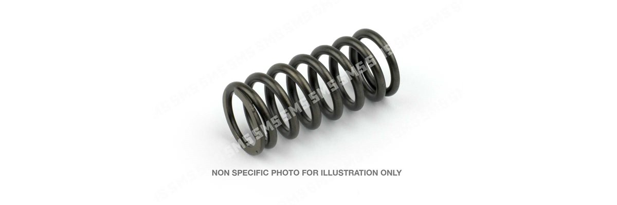 VALVE SPRING