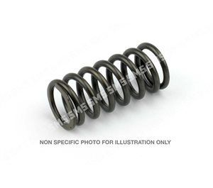 VALVE SPRING