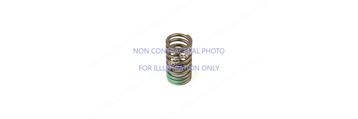 VALVE SPRING
