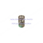 VALVE SPRING