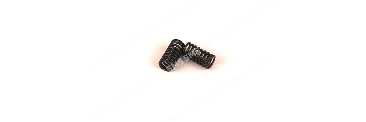 VALVE SPRING