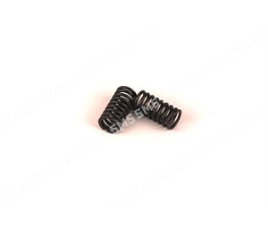 VALVE SPRING