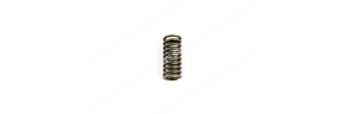 VALVE SPRING