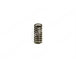 VALVE SPRING