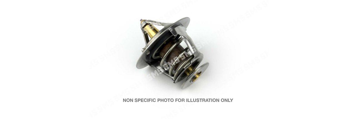THERMOSTAT