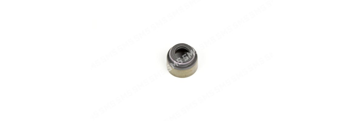 SEAL Valve Stem
