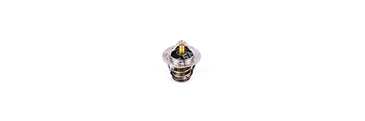 THERMOSTAT 76deg