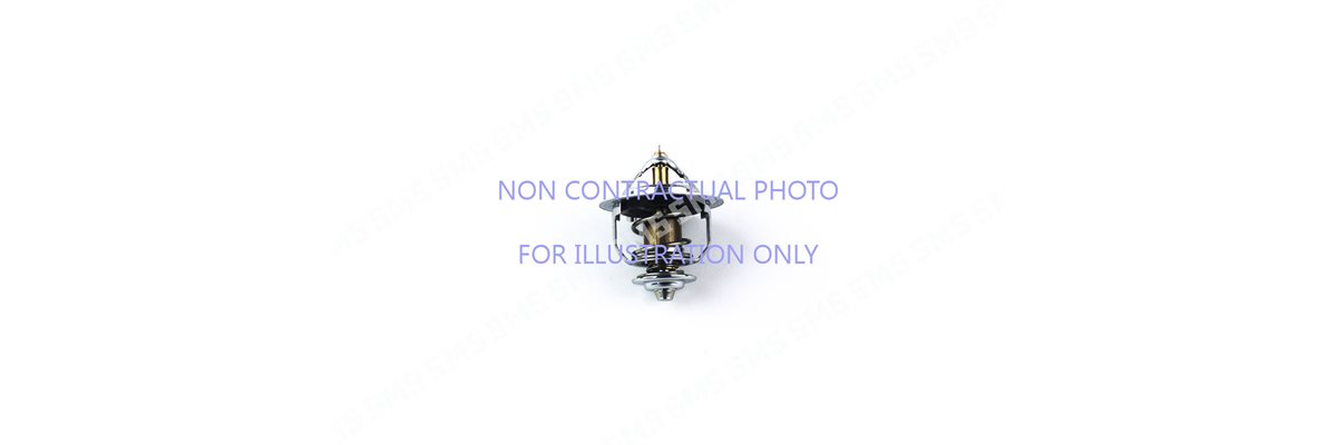 THERMOSTAT (82mm OD) 76.5deg