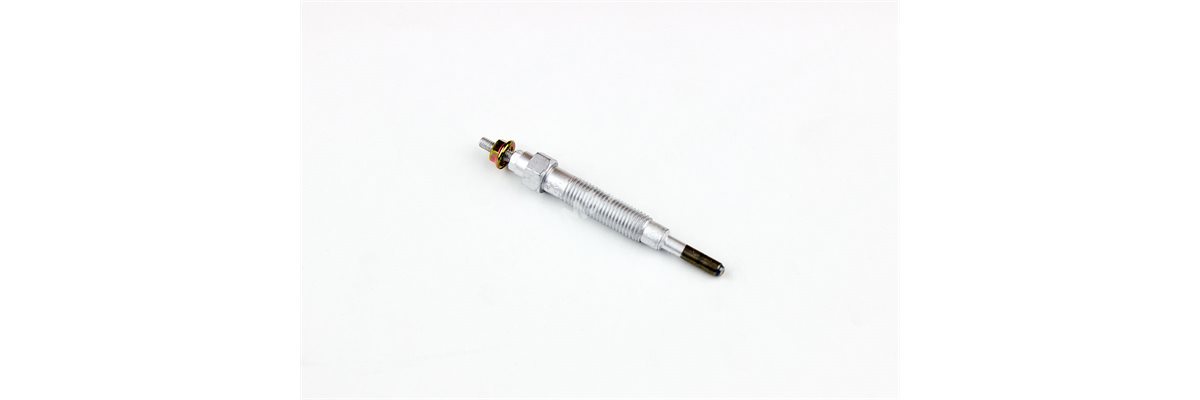 GLOW PLUG 12v