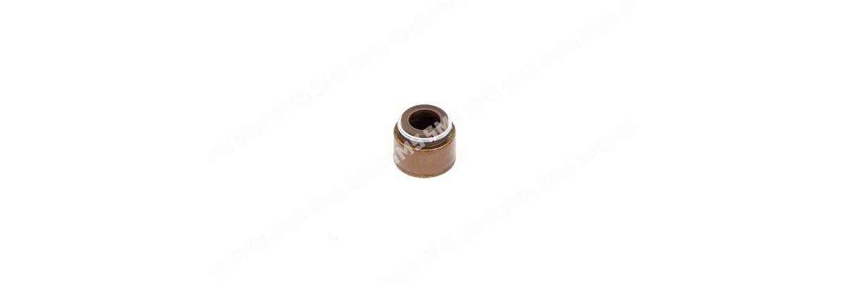 SEAL Valve Stem