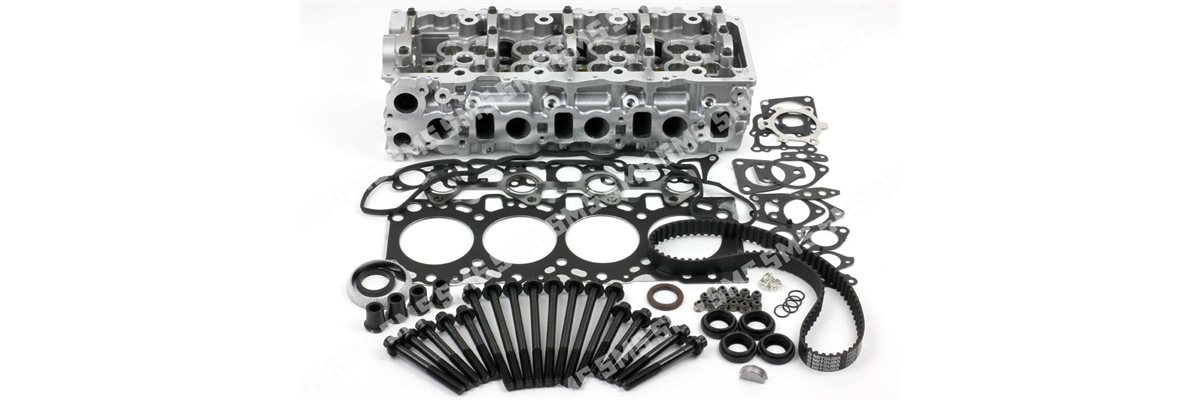 CYLINDER HEAD KIT (no valves)