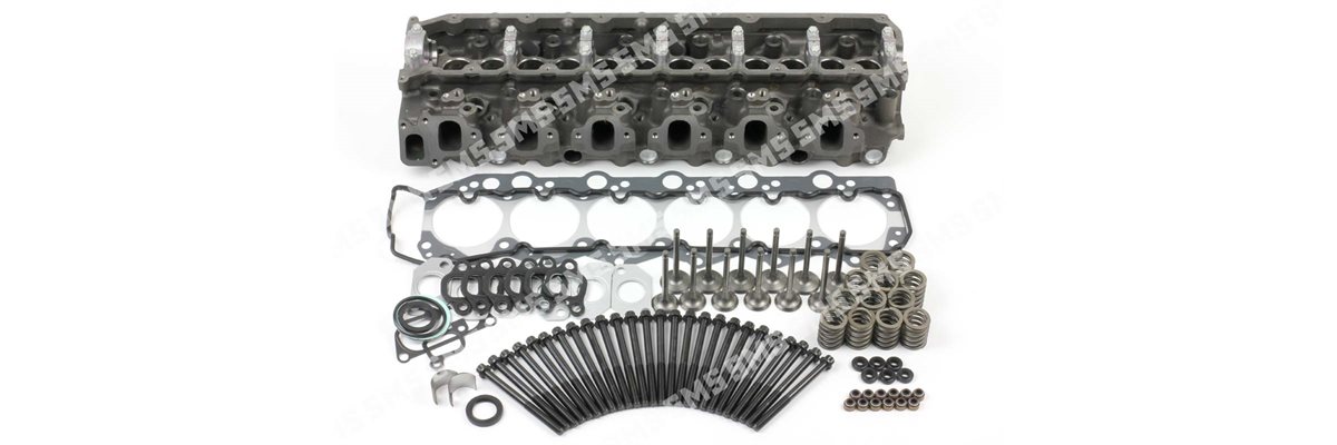 CYLINDER HEAD KIT (Bare GENUINE Head) with valves 1HDT