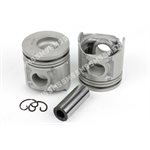 PISTON + PIN Industrial (66mm bowl) Premium
