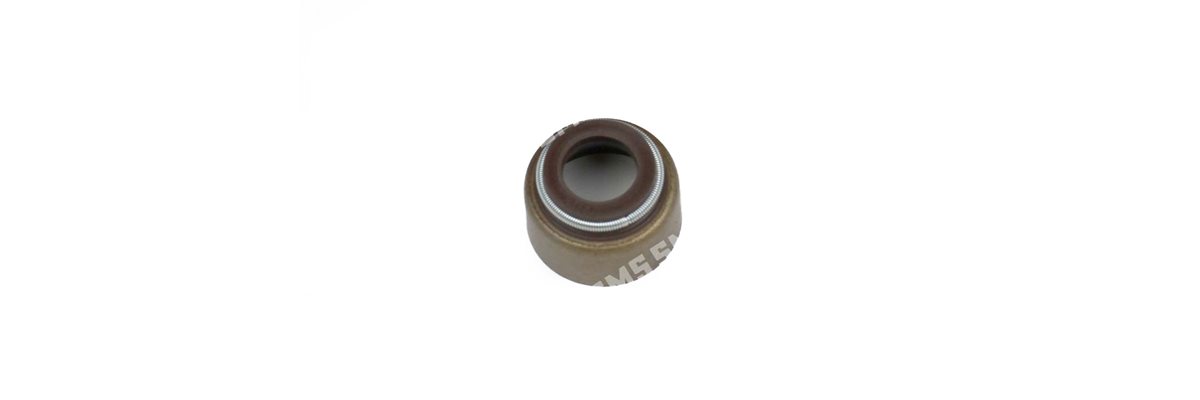 SEAL Valve Stem