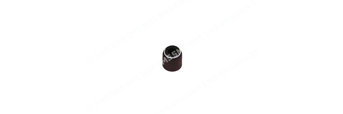 SEAL Valve Stem