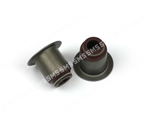 SEAL Valve Stem