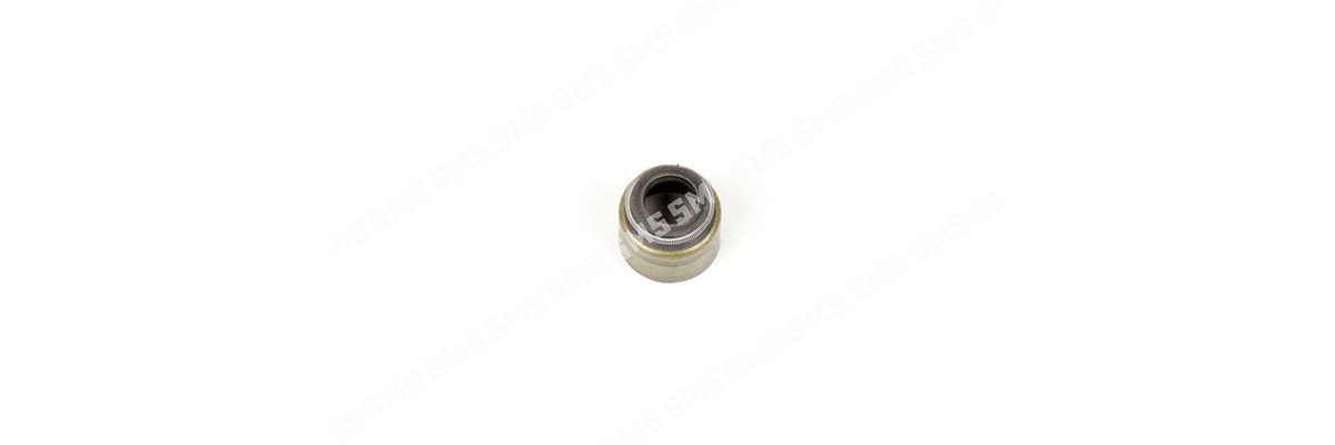 SEAL Valve Stem