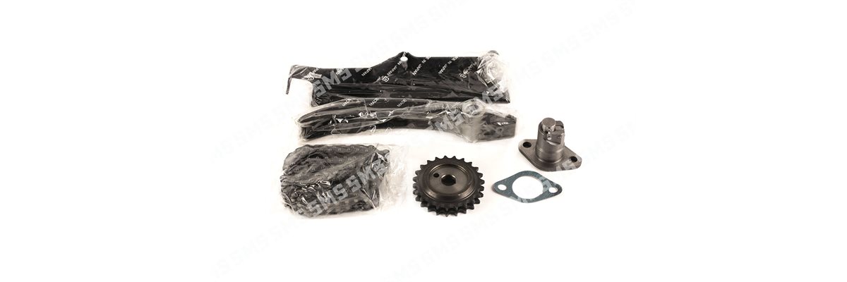 TIMING CHAIN KIT >2 / 2000 (double row)