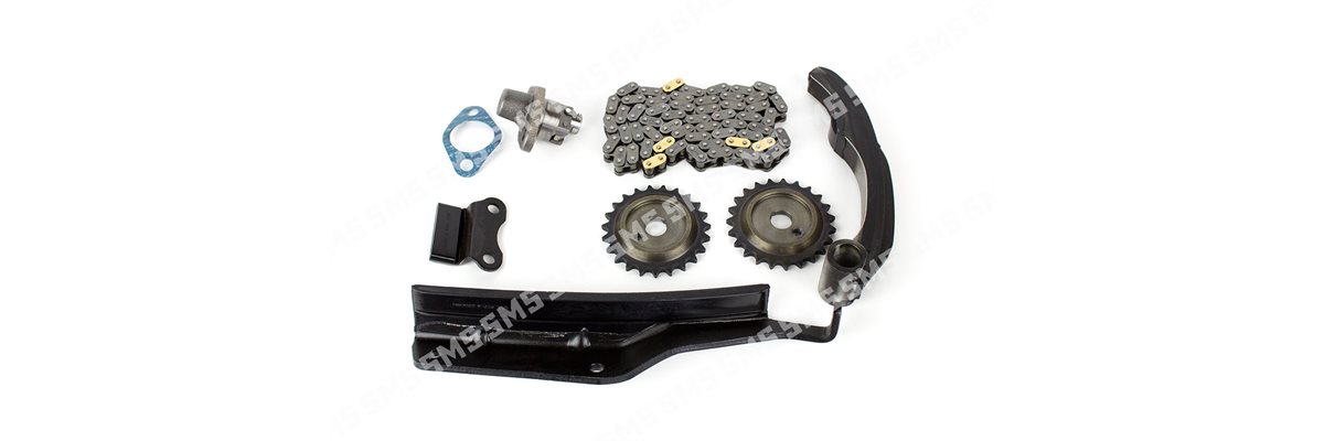 TIMING CHAIN KIT (Less lower guide)