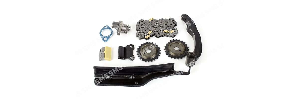 TIMING CHAIN KIT (Includes lower guide)