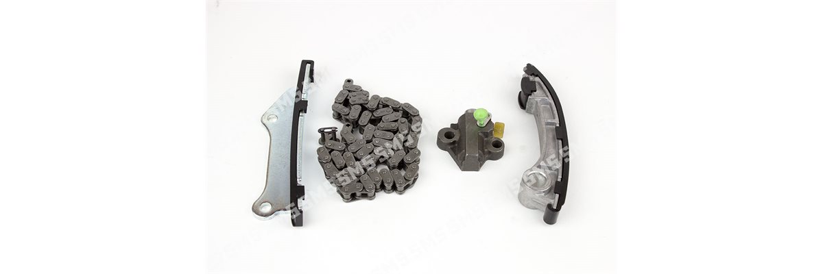 TIMING CHAIN KIT ->12 / 2006 (less chain sprockets)